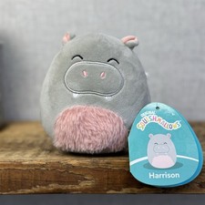 Squishmallow 5" Harrison Hippo