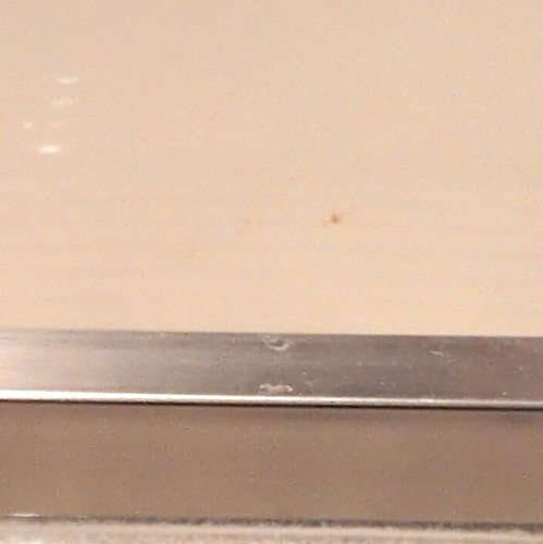 Genuine siemens fridge - genuine, fridge/freezer
