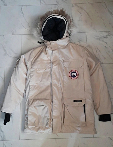 Canada goose expedition - goose,