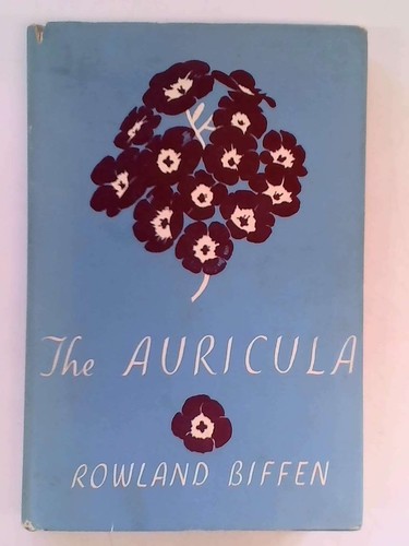The auricula story - the, a