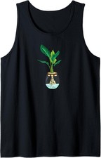 Monstera Deliciosa Variegata I