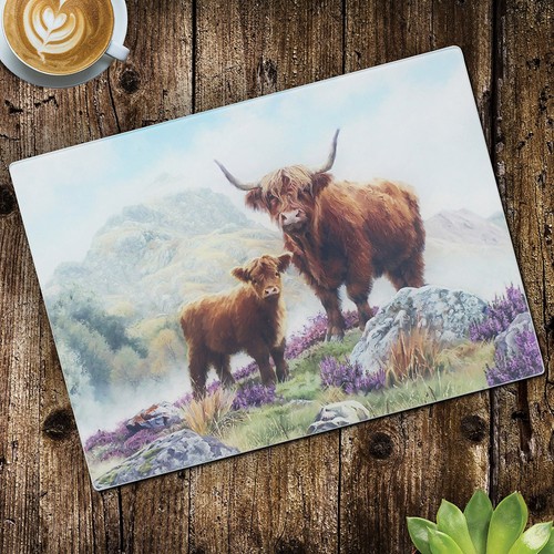 Highland cow calf - highland,