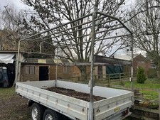 Bockmann Drop Side Trailer H739 with Canopy Frame and Spare Wheels