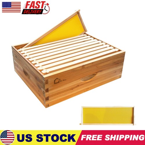 Frame beehive box - 10-frame,