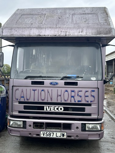 Iveco ford horsebox 3 - ford,