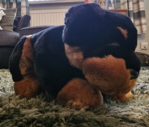 Keel toys rotweiler black - toys,