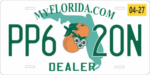 Florida dealer novelty custom - novelty,