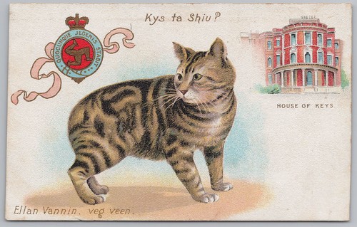 Manx cat house keys isle - of, of