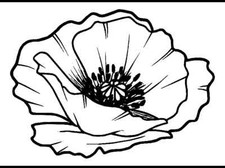 Small Poppy Head Unmounted