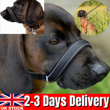 Padded Head Collar Reflective