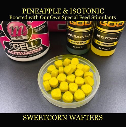 Boilies mainline cell - mainline,