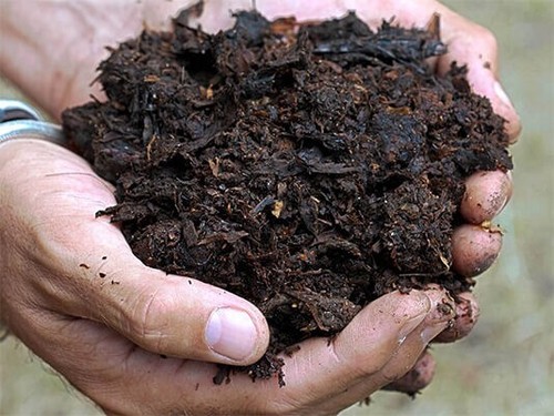 Organic well rotted - organic,