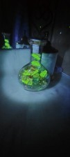 Uranium Infused Marbles In