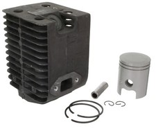 Cylinder&Piston Nikasil Coated