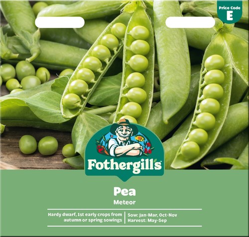 Winter peas meteor hardy - peas, mr