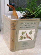 WAYSIDE & WOODLAND  CATERPILLARS OF BRITISH BUTTERFLIES lepidotery 1ST ED 1944