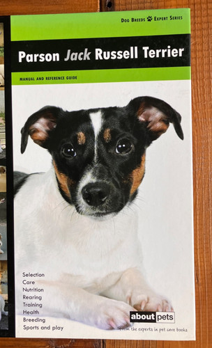 Parson jack russell terrier - parson,