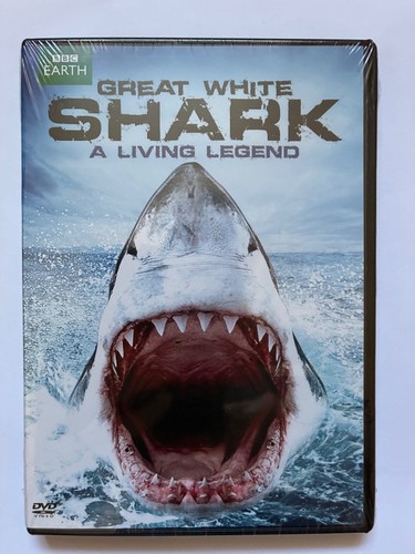Great white shark - great, living