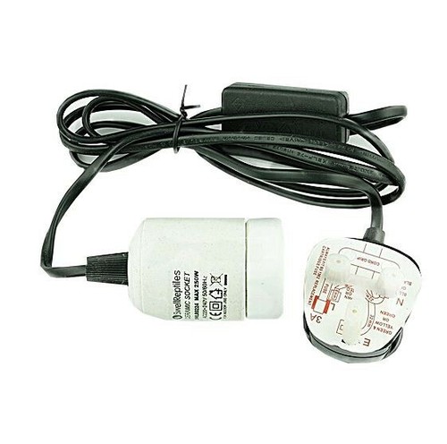 Swell reptiles ceramic lamp - reptiles,