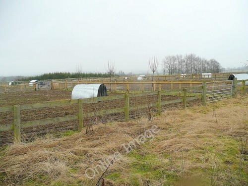 Photo 6x4 free range - photo,
