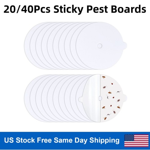 20pack disposable flea trap - 20pack,