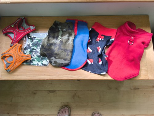 Job lot small dog jumpers - lot,
