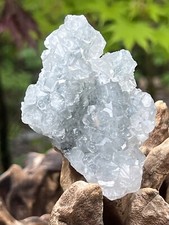 White Apophyllite Cluster Bed