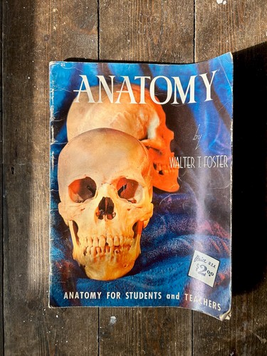 Vintage walter foster anatomy - vintage,