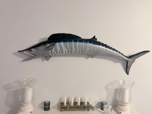 Wahoo fish mount - wahoo, 3d