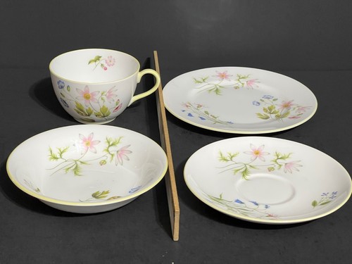 Vintage shelley wild anemone - vintage,