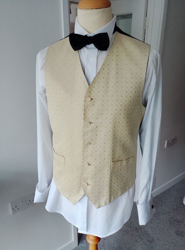 Men gold waistcoat - gold,