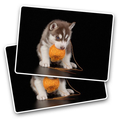 Vinyl sticker cute siberian - vinyl,