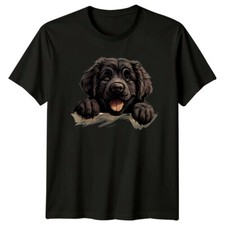 Cute Newfoundland Dog Peekaboo