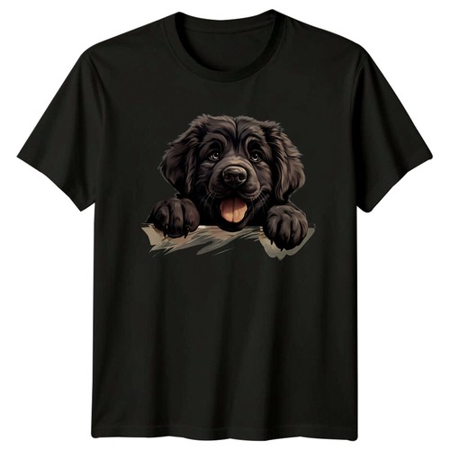 Cute newfoundland dog - dog, peekaboo