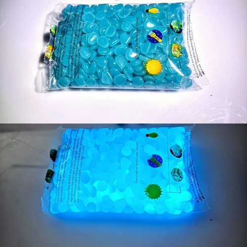 100pcs glow the dark - dark, garden