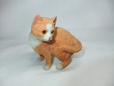 Country Artists Ginger Cat