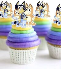 PRECUT Bluey Family Edible