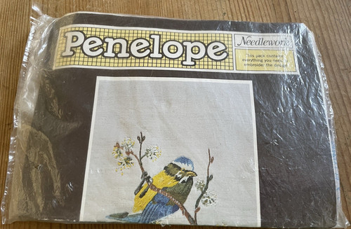 Penelope blue tit - penelope, bird