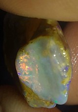 Potential Sea Slug Opalised