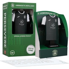 Hibernian FC Metal Football Shirt Personalised Hibs 2025/26 Home Kit Alloy Shirt