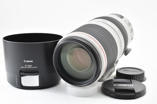 Canon 100 400mm 5 - f/4.5-5.6, l