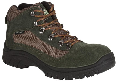 Hoggs fife rambler - of, w/p