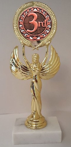 3rd place trophy - 3rd,
