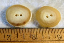Pair of Genuine Antler Buttons