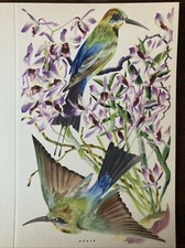 P&O  SHIPPING LINE -MENU