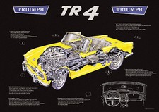Triumph TR4 Classic Car