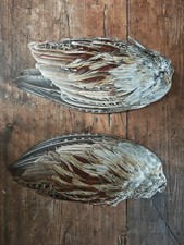 Pheasant Feather Cock Bird