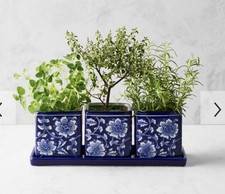 Williams Sonoma Blue & White