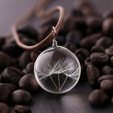 Round Dandelion Dried Flower