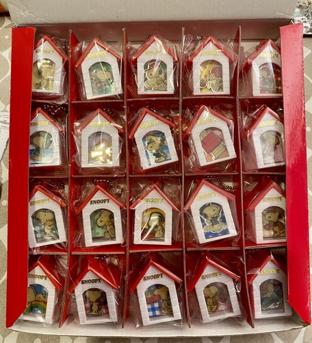 Snoopy pin house full - house,